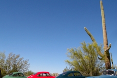 Parking at the Desert Museum